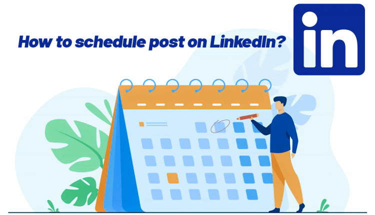 how to schedule posts on LinkedIn?