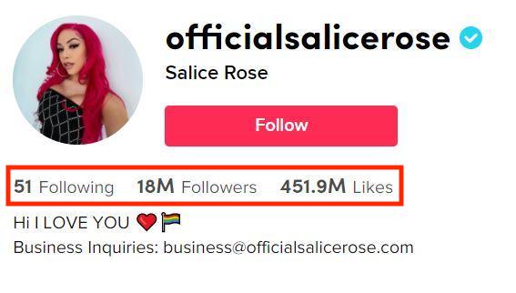 Picture 50 - Salice Rose