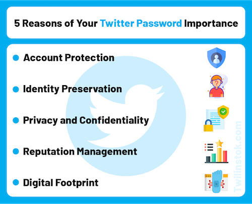 5 Reasons of Your Twitter Password Importance