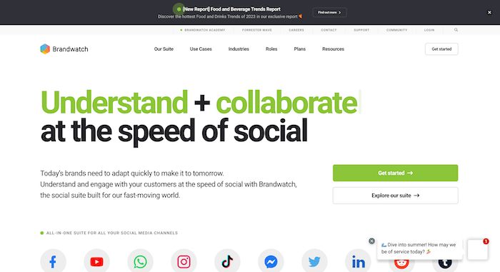 Brandwatch Consumer Research