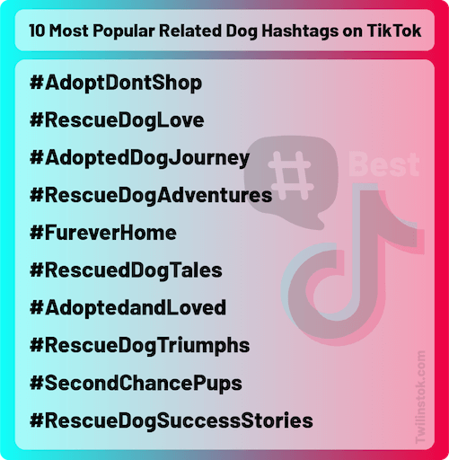 10 Most Popular Related Dog Hashtags on TikTok