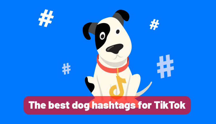 Best Dog Hashtags for TikTok