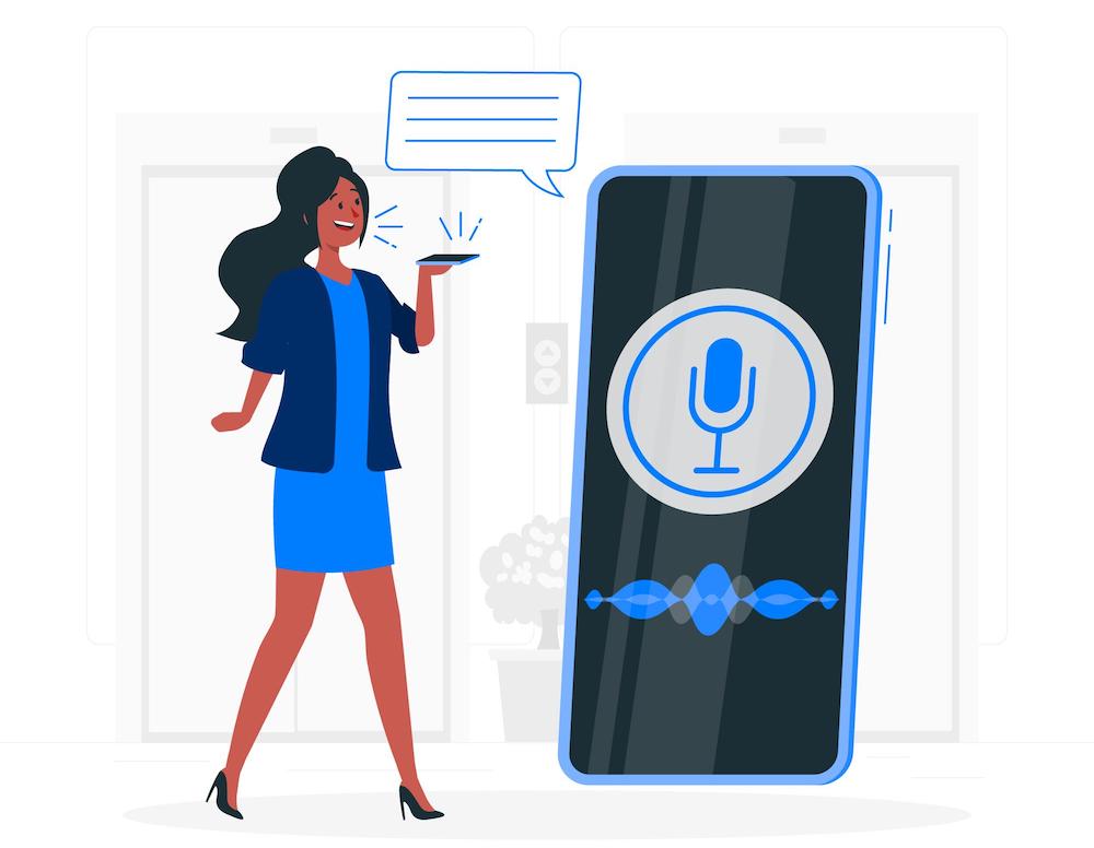 Voice Assistant