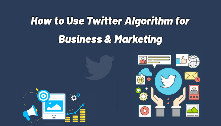 twitter algorithm for business