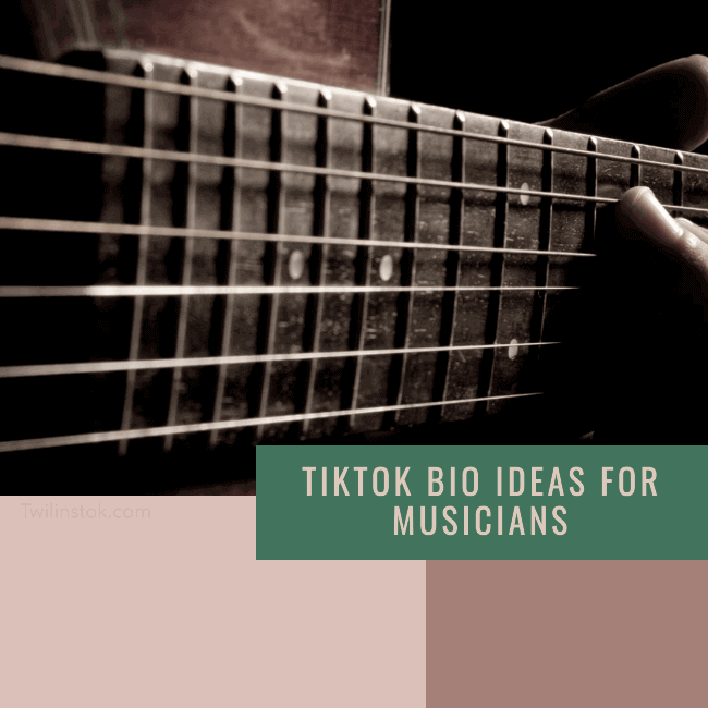 tiktok bio ideas for musicians