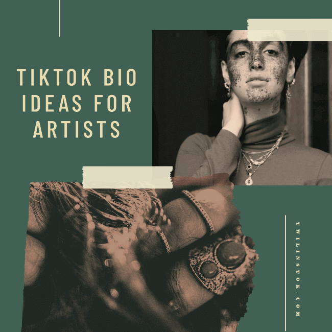 TikTok Bio Ideas for Artists