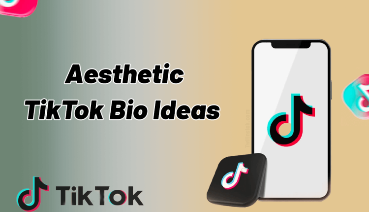 aesthetic tiktok bio ideas