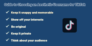 300+ Aesthetic TikTok Username Ideas [2026] - Twilinstok