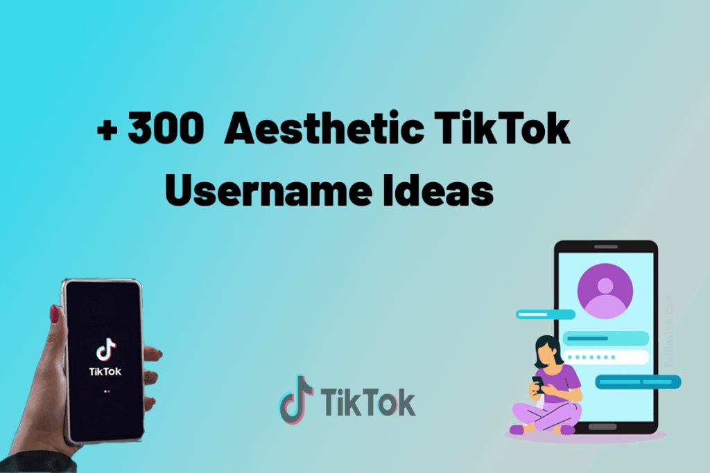 300+ Aesthetic TikTok Username Ideas [2026] - Twilinstok