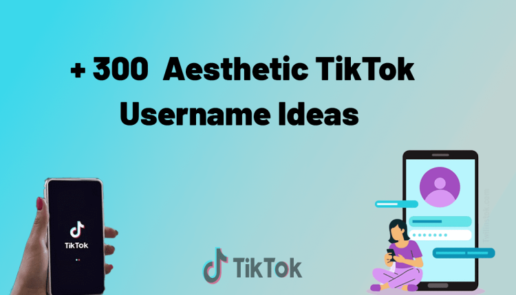 aesthetic tiktok username ideas