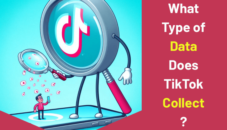 What Type of Data Does TikTok Collect?